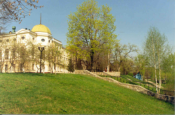 bg-img
